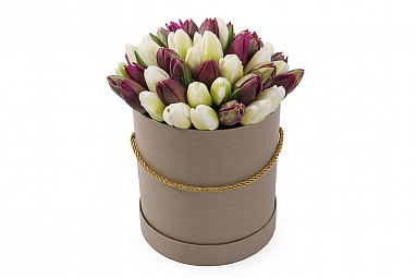 Букет 51 королевский тюльпан в коричневой шляпной коробке, бело-пурпурный микс