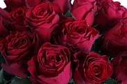 Букет 21 роза Родос