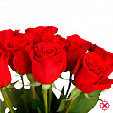 Букет 11 красных роз Эквадор 50/60 см